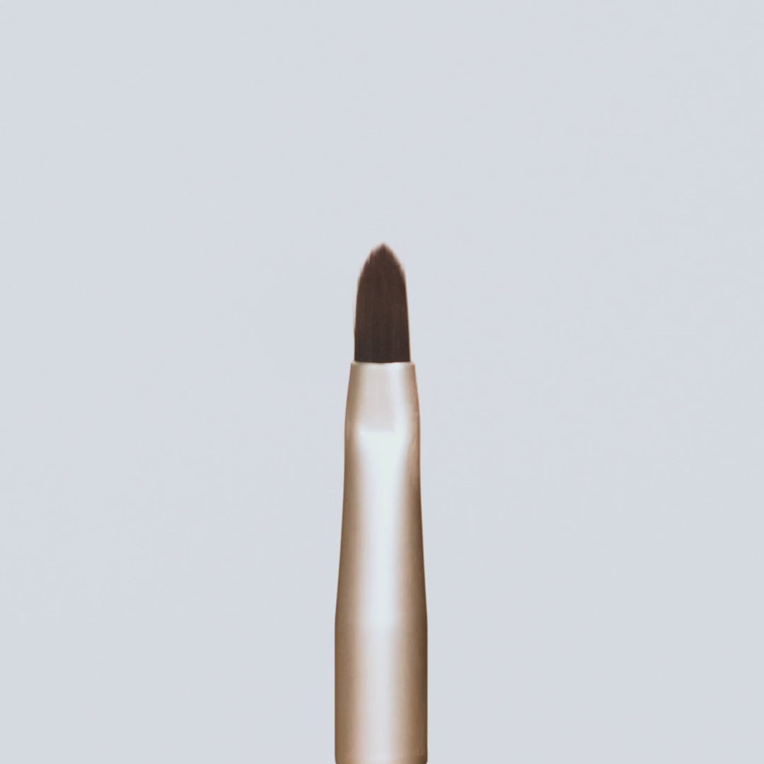 Lip Brush