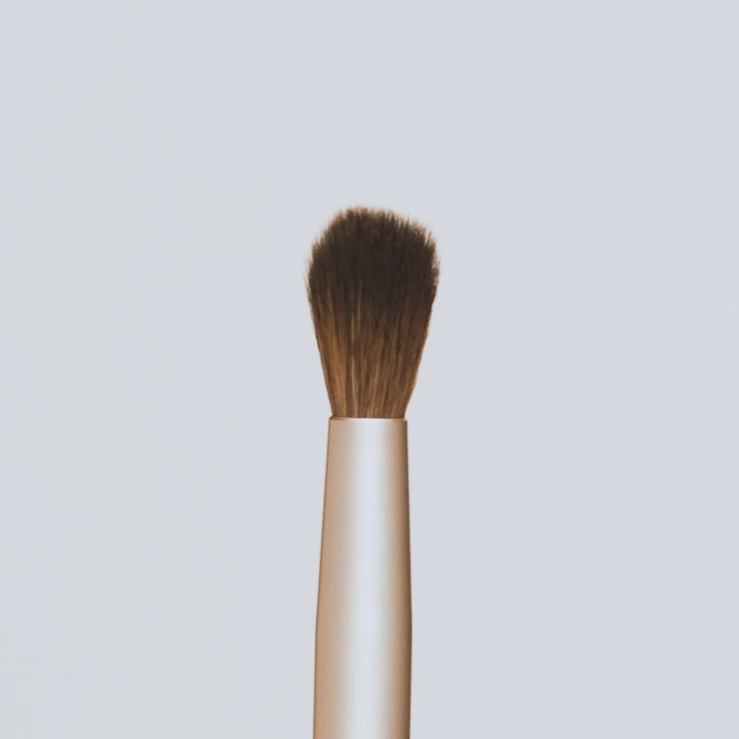 Detail Brush