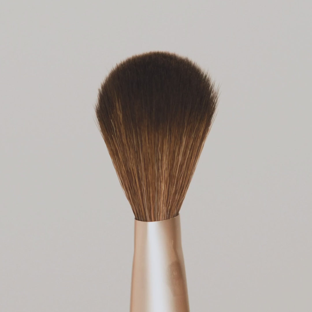 Powder Complexion Brush