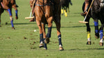 Met Formula 58 duik je onder in de wereld van de paardensport. Grapefruit vertaalt de nerveuze dynamiek van de ruiter en paard, hout en leder roept de stallen en de paarden op. Narcis en berk zorgen voor een bittertje dat een edgy vibe aan deze elegante geur geeft bij Lisa Bosmans Skincare