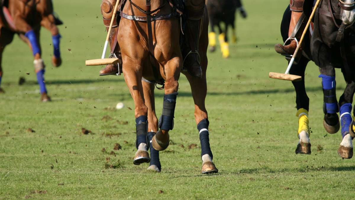 Met Formula 58 duik je onder in de wereld van de paardensport. Grapefruit vertaalt de nerveuze dynamiek van de ruiter en paard, hout en leder roept de stallen en de paarden op. Narcis en berk zorgen voor een bittertje dat een edgy vibe aan deze elegante geur geeft bij Lisa Bosmans Skincare